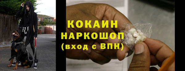 ПСИЛОЦИБИНОВЫЕ ГРИБЫ Гусев