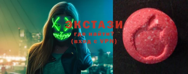 ПСИЛОЦИБИНОВЫЕ ГРИБЫ Гусев