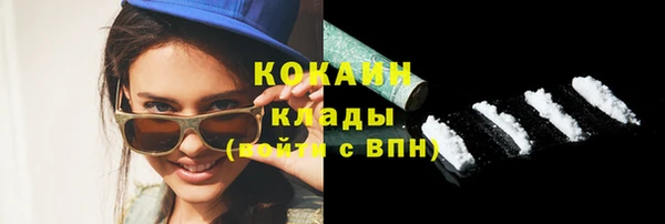ПСИЛОЦИБИНОВЫЕ ГРИБЫ Гусев