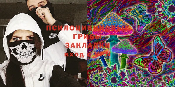 ПСИЛОЦИБИНОВЫЕ ГРИБЫ Гусев