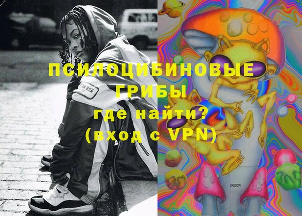 ешки Горняк