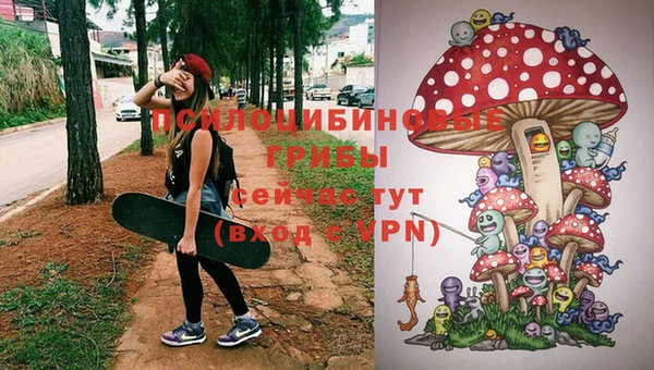 ПСИЛОЦИБИНОВЫЕ ГРИБЫ Гусев