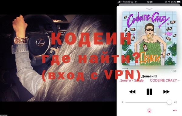 ПСИЛОЦИБИНОВЫЕ ГРИБЫ Гусев