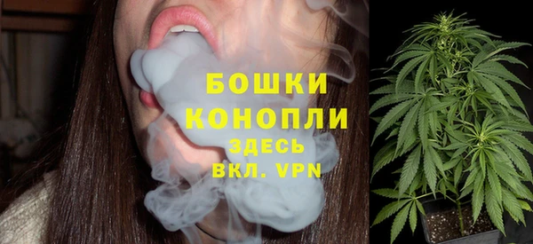 ешки Горняк
