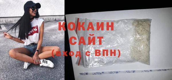 ешки Горняк
