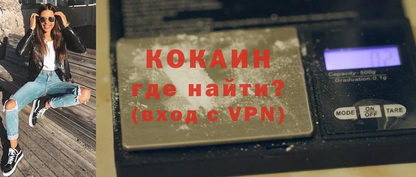 ешки Горняк