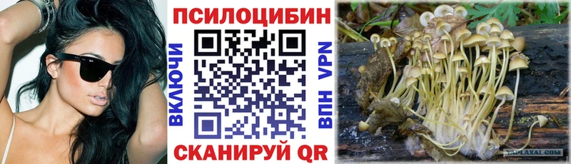 Галлюциногенные грибы GOLDEN TEACHER  OMG зеркало  Духовщина 